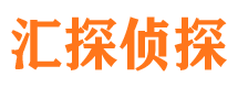 镇沅市侦探调查公司